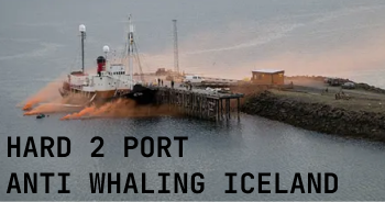 Hart 2 Port